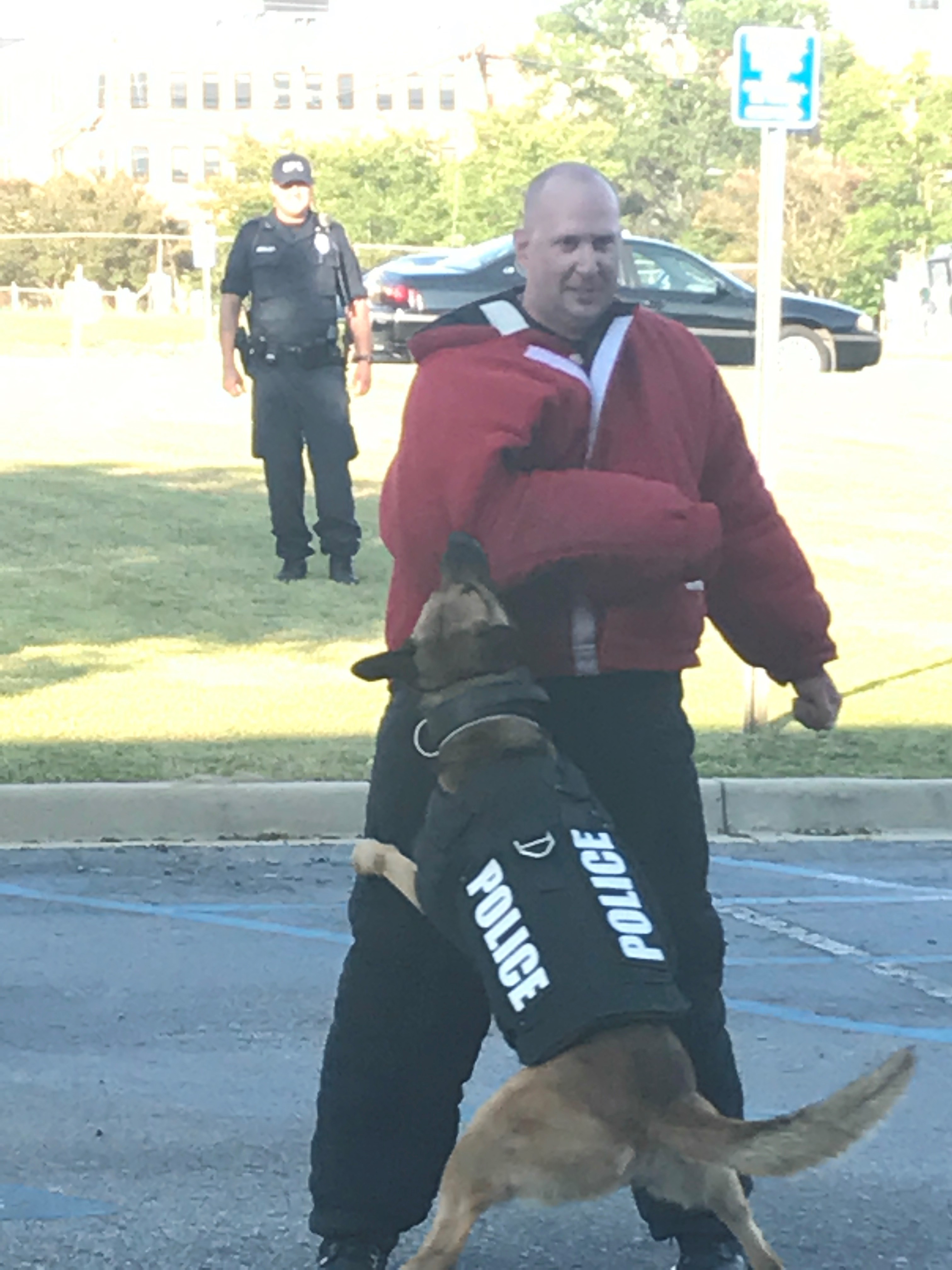 Columbia Police Department K-9 demonstrates how to apprehend a suspect