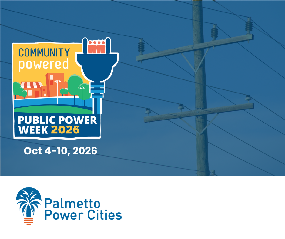 Public Power Week Social Template
