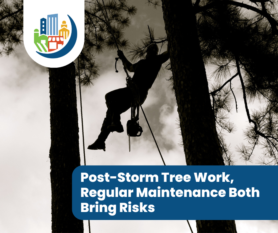 Post-Storm Tree Work, Regular Maintenance Both Bring Risks