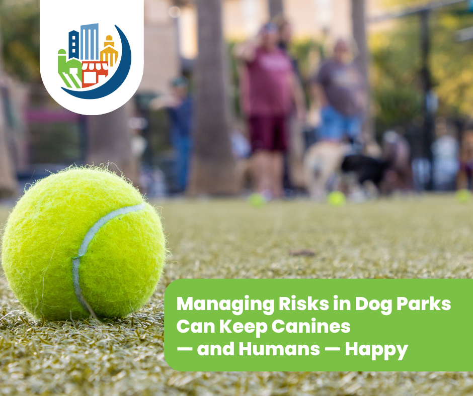 Managing Risks in Dog Parks Can Keep Canines— and Humans — Happy
