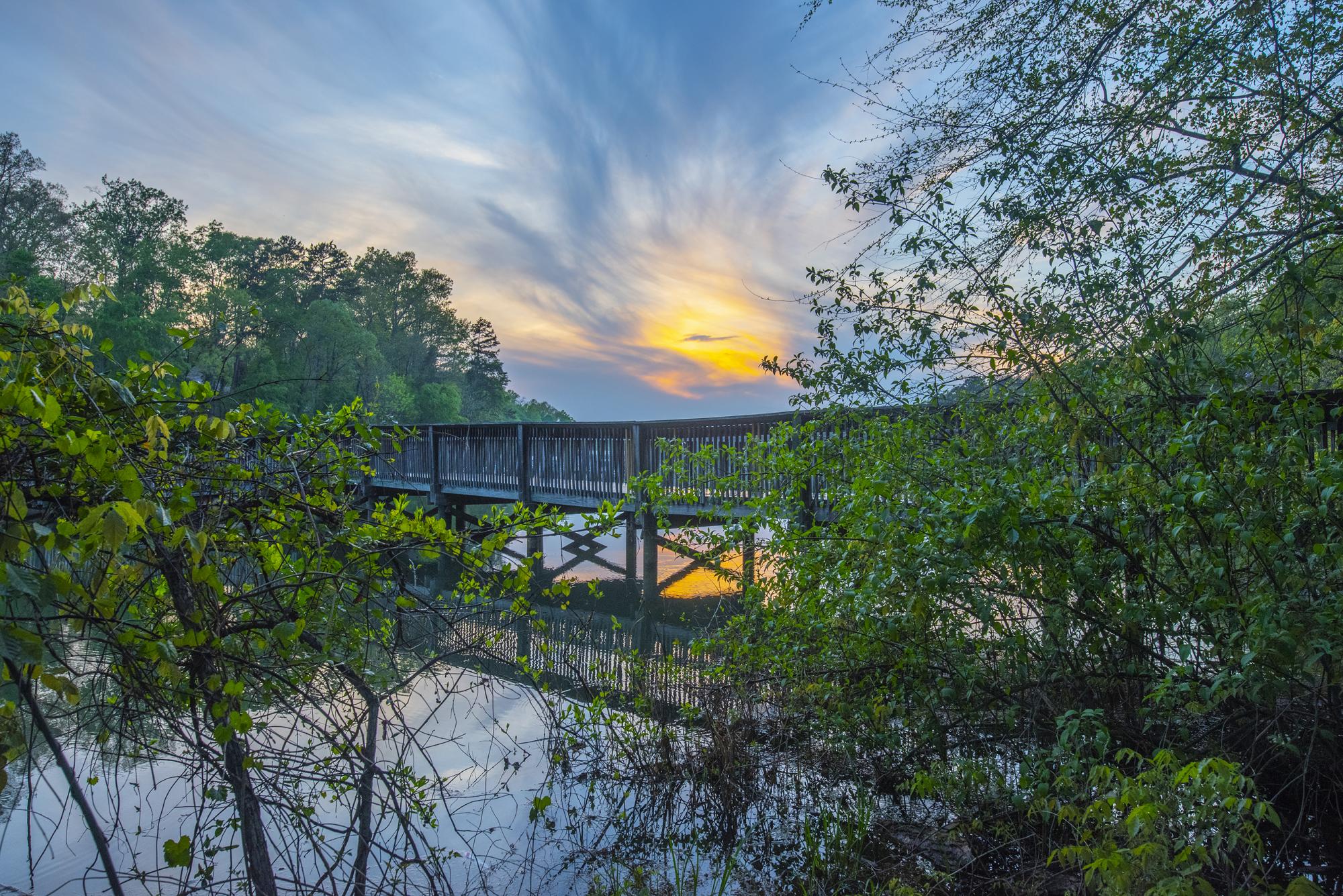 Larry W. Abernathy Waterfront Park, located on Lake Hartwell, provides an  example of the City of Clemson's tree canopy. Photo: Ken Scar.